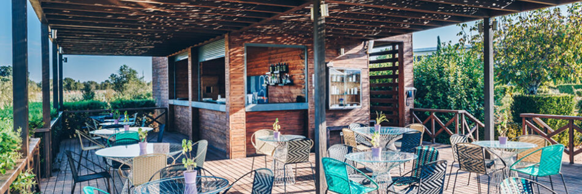 Sunset Party at Alentejo sunset