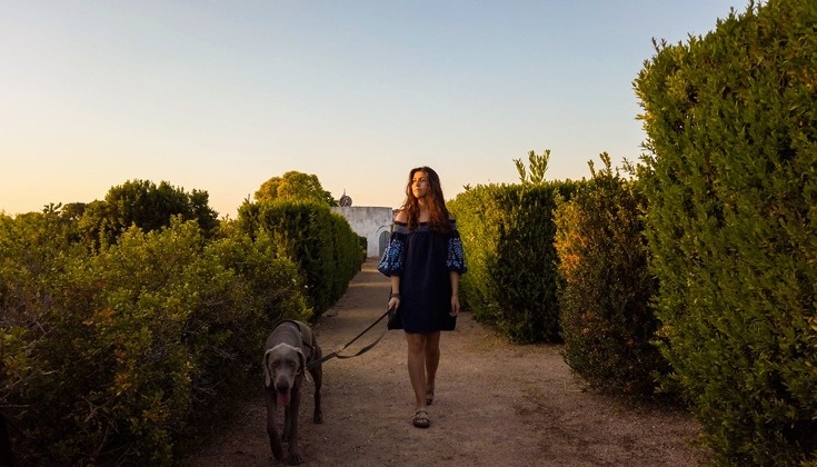 Dog walk at Convento do Espinheiro hotel's grounds.