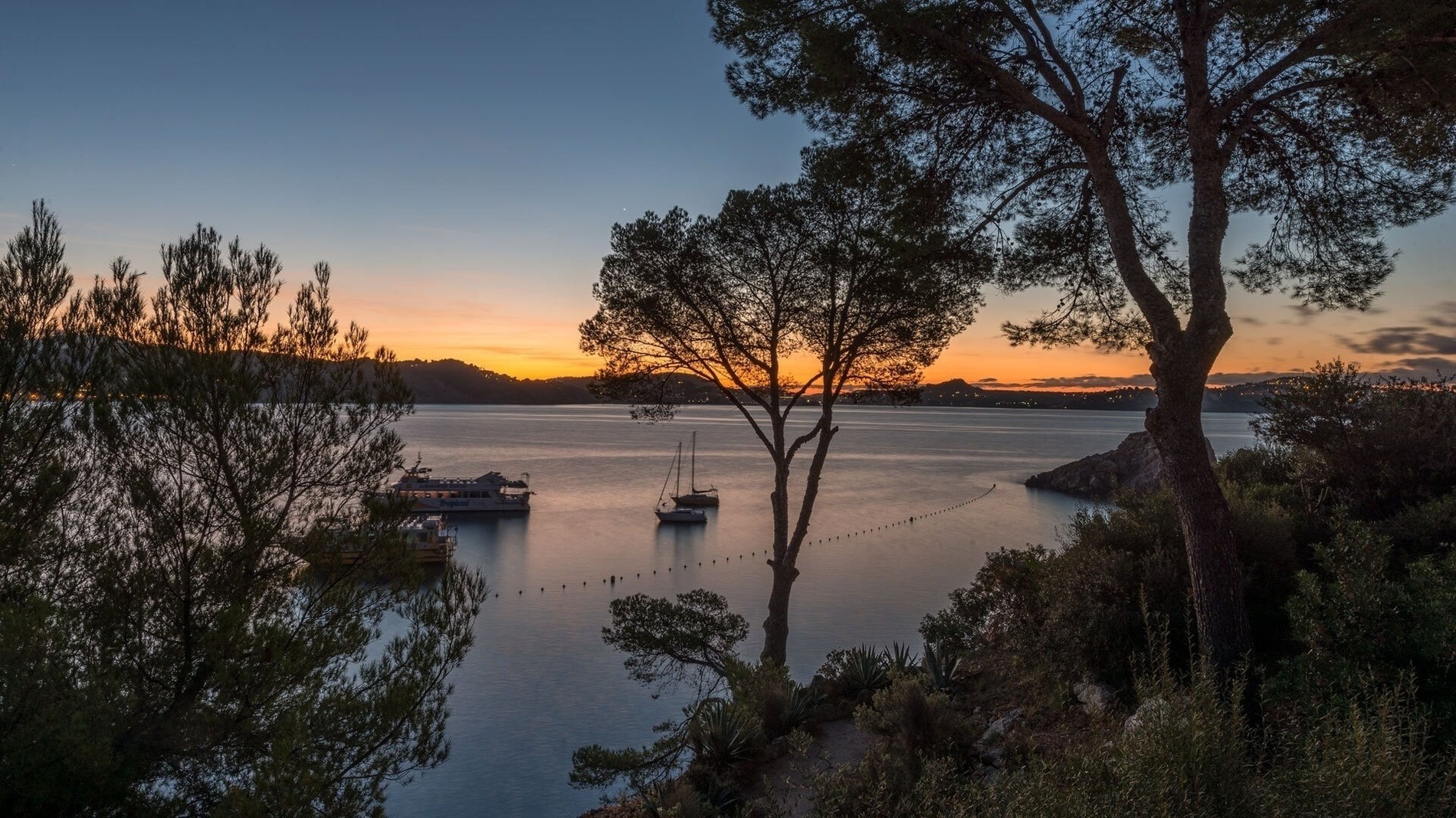 Ein ruhiger Sonnenuntergang taucht eine Bucht mit mehreren Booten in warmes Licht, während sich Bäume im Vordergrund als Silhouetten gegen den orange-blauen Himmel abzeichnen.