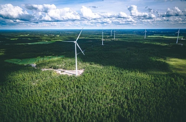 eine Gruppe von Windkraftanlagen inmitten eines Waldes