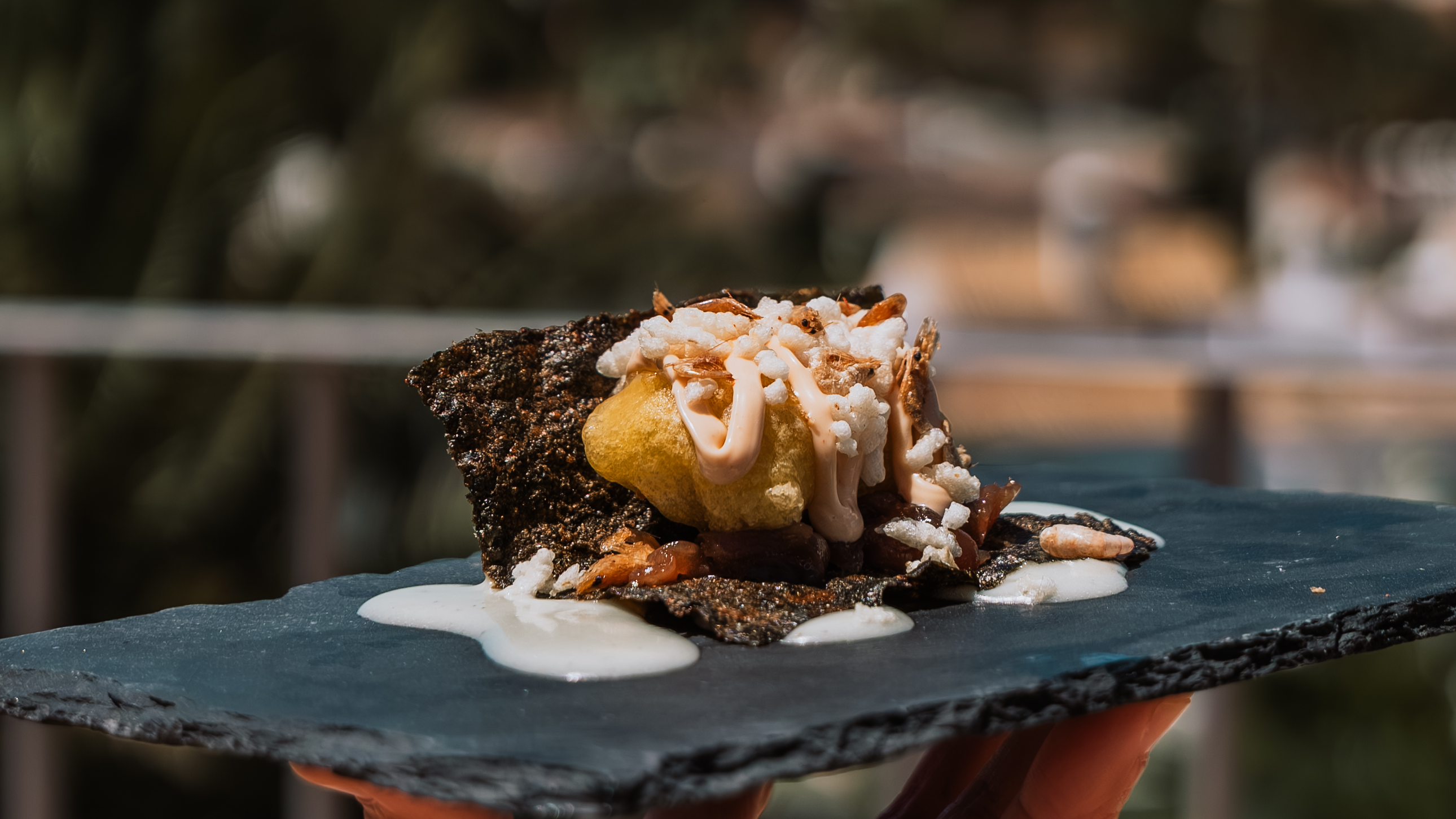 Gourmet seafood dish served on a slate plate with a tropical ocean view, perfect for Qhotels: El Cortijo de Zahara dining.