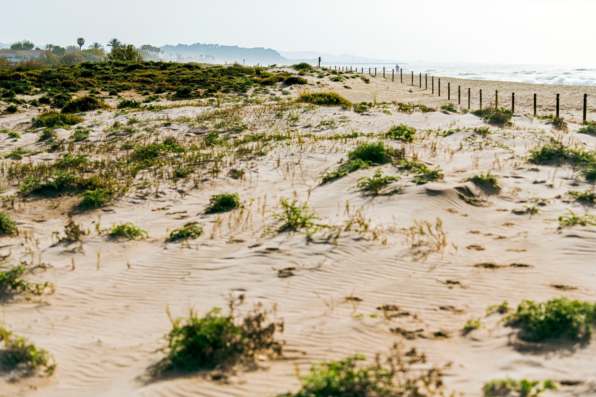 una familia camina por la playa tomados de la mano