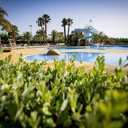 una piscina con un tobogán y palmeras en el fondo