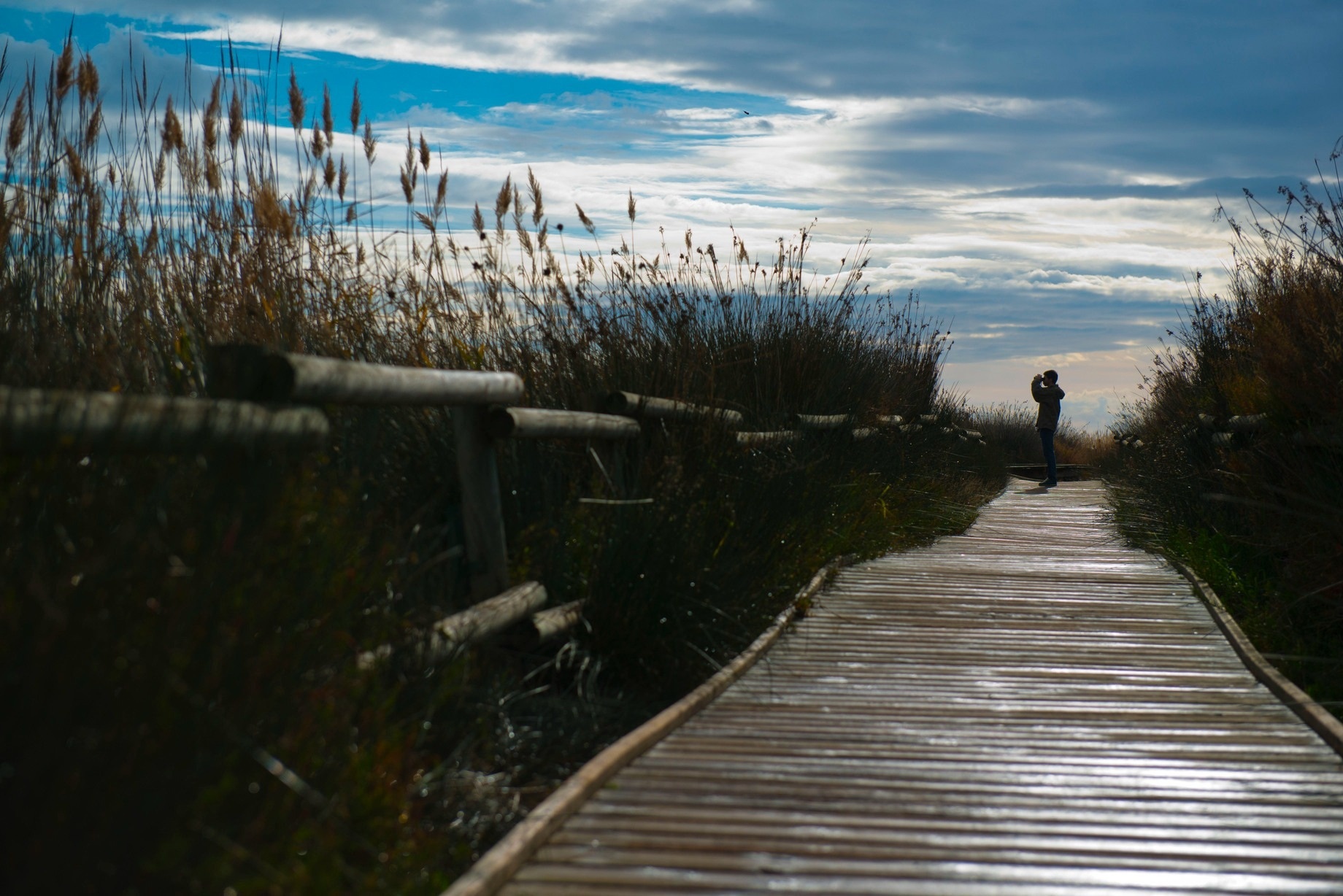 un hombre camina por un sendero de madera en un día nublado