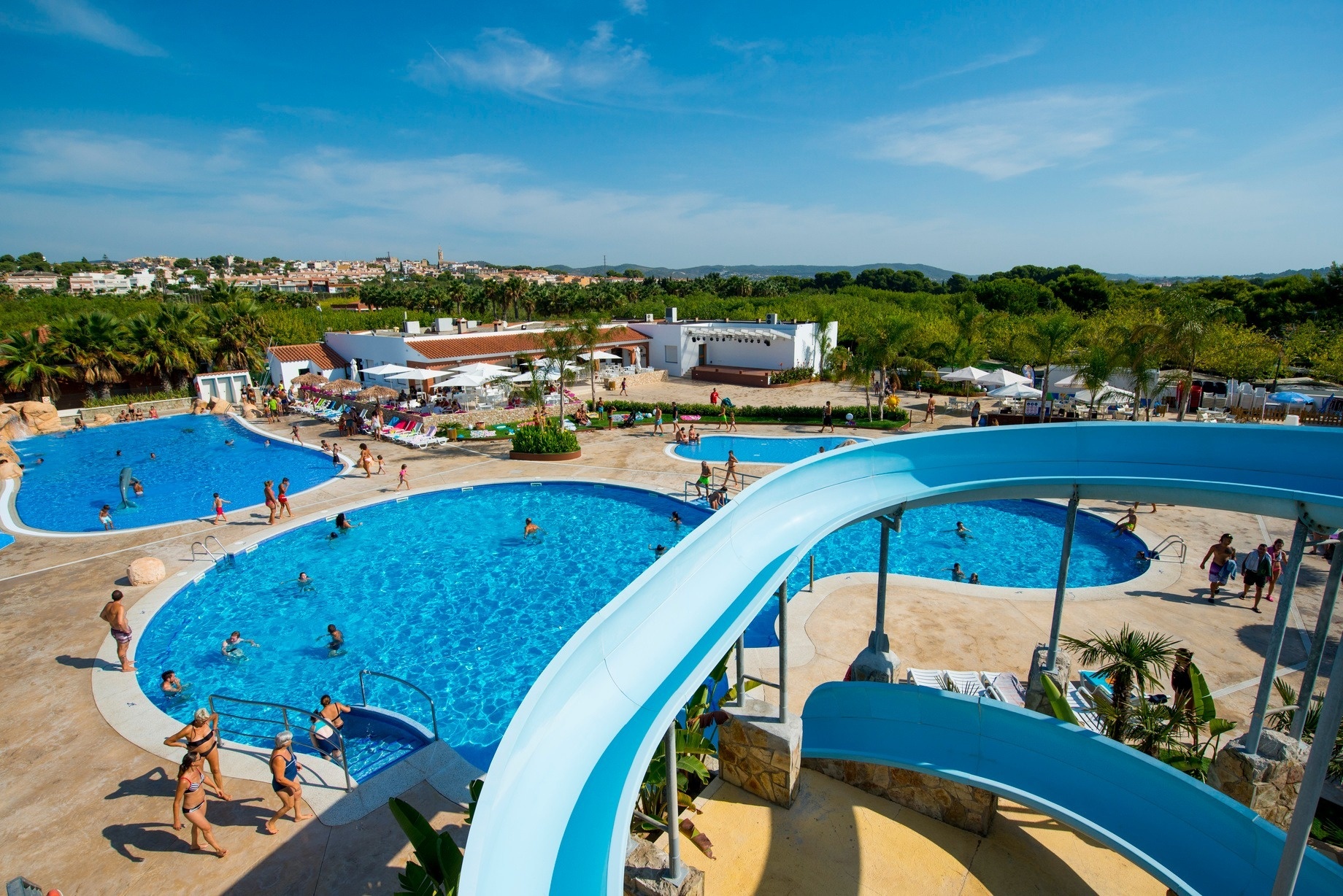 una piscina rodeada de palmeras y sillas de playa