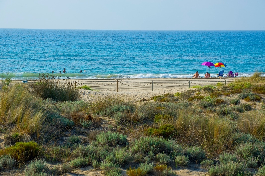un grupo de personas se sienta en la playa con sombrillas de colores