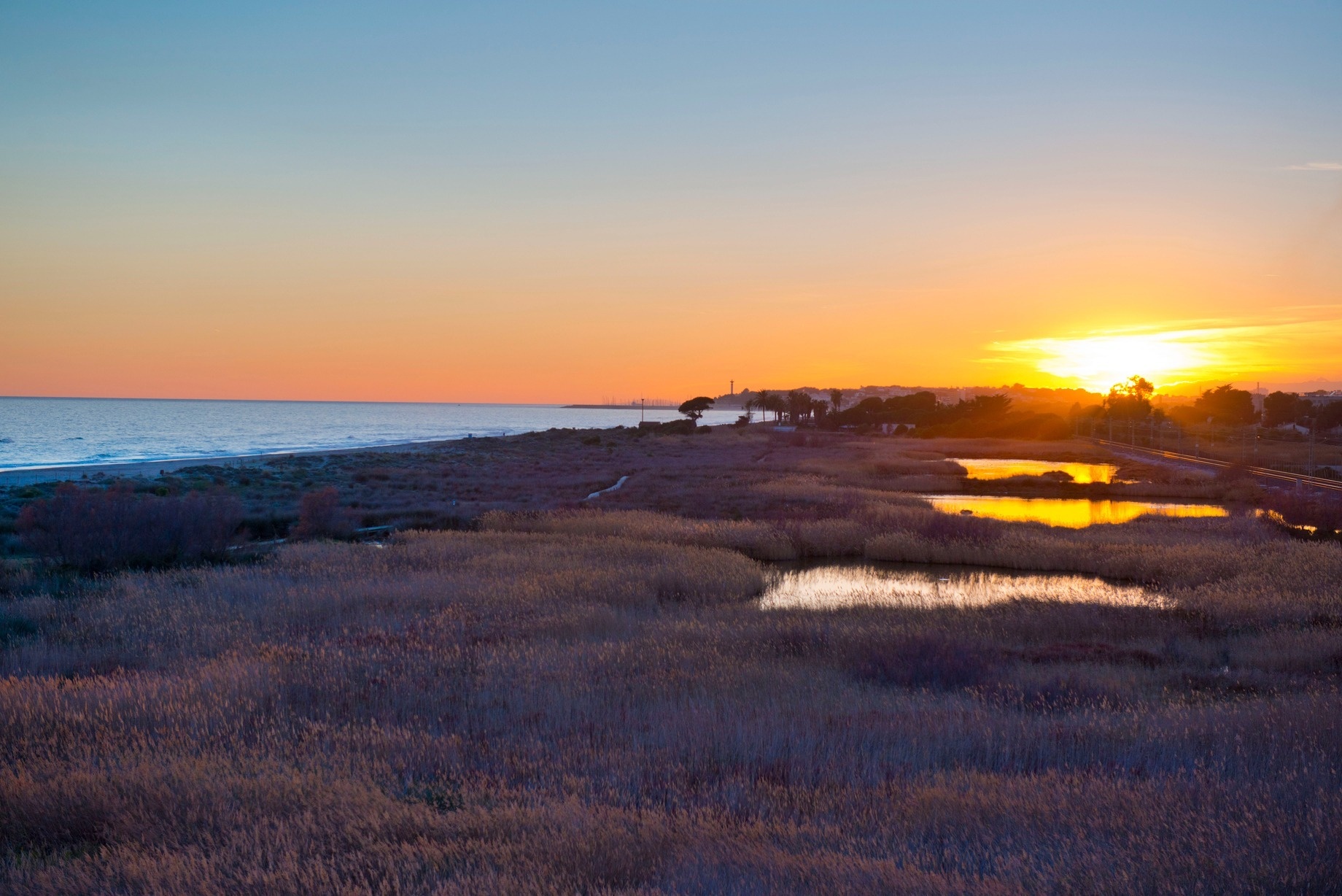 una familia camina por la playa tomados de la mano