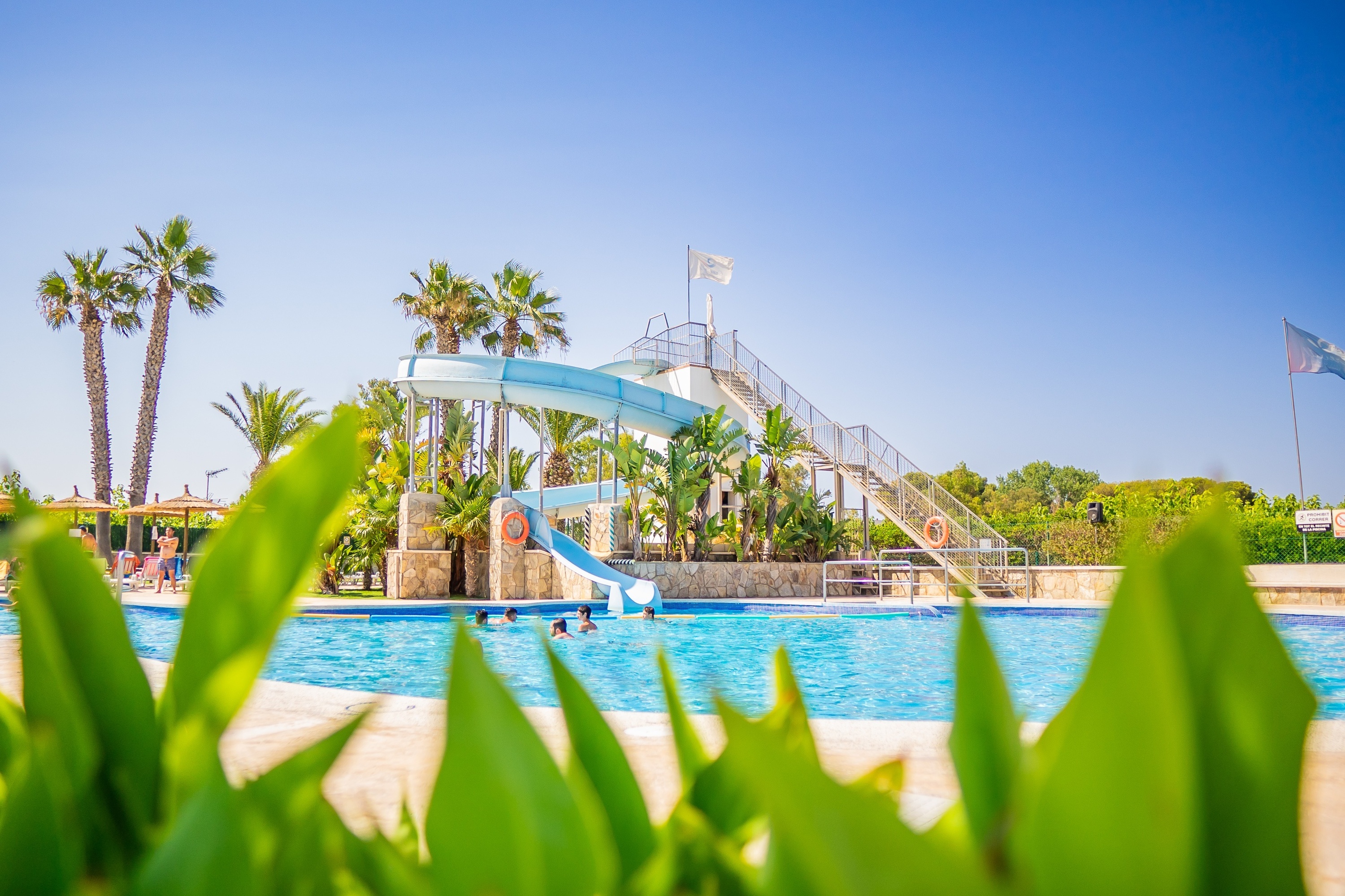 una piscina rodeada de palmeras y sillas de playa