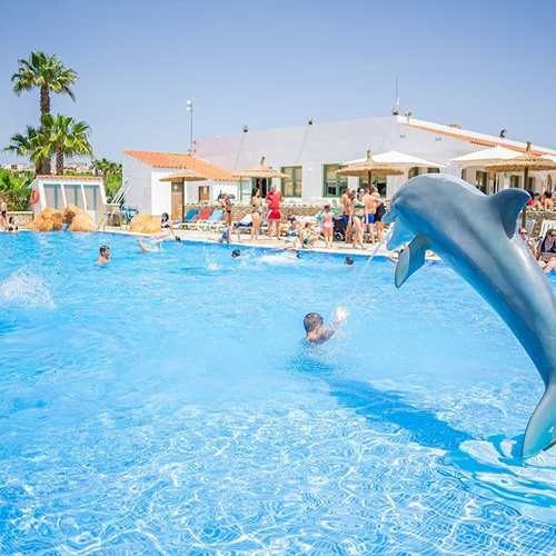 un delfín salta del agua en una piscina llena de gente