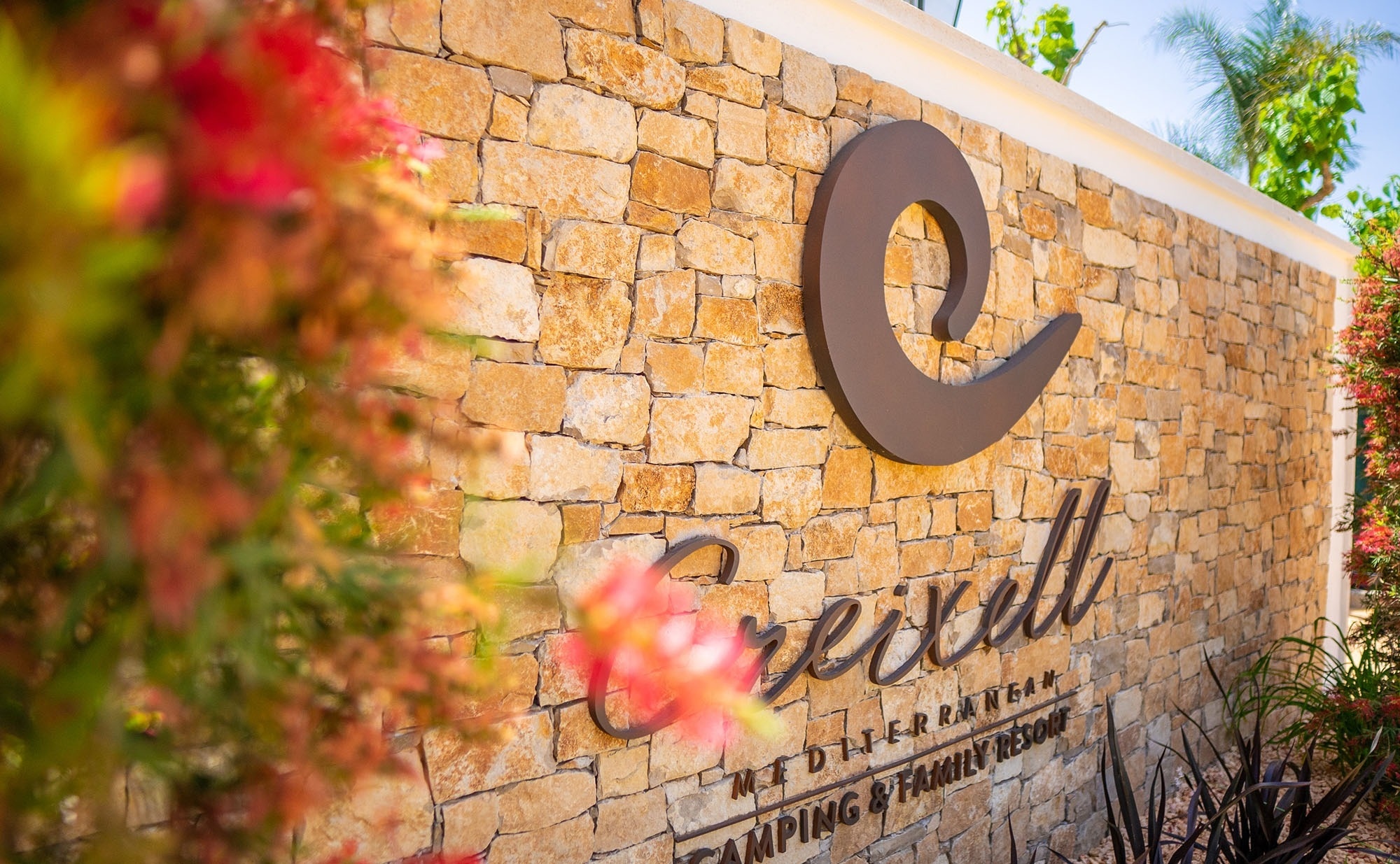 un camino de arena rodeado de árboles y arbustos