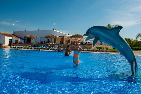 un delfín salta del agua en una piscina