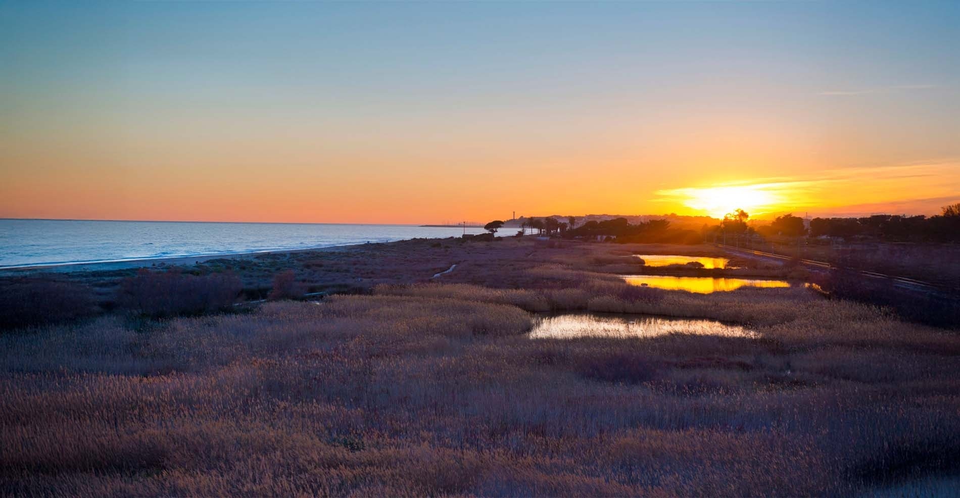 un petit llac enmig d' un bosc a l' aigua
