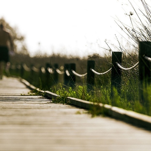un hombre sin camisa camina por un sendero de madera