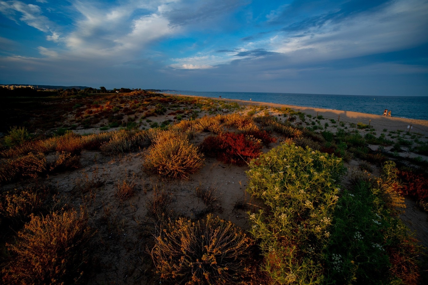 Creixell Camping & Family Resort