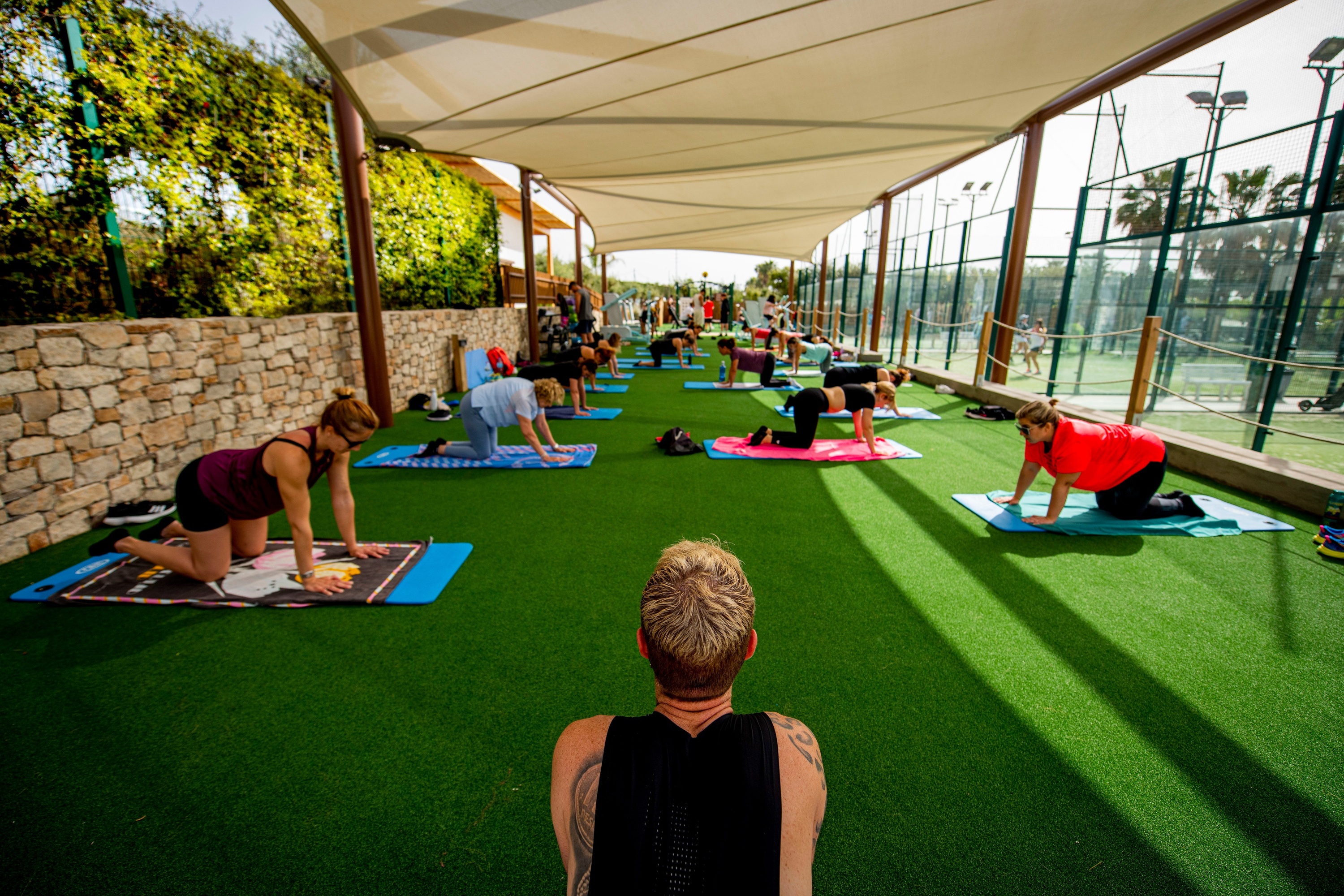un grupo de personas están haciendo ejercicios de yoga al aire libre
