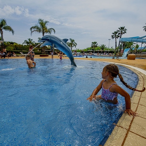 una niña mira a un delfín saltando de la piscina