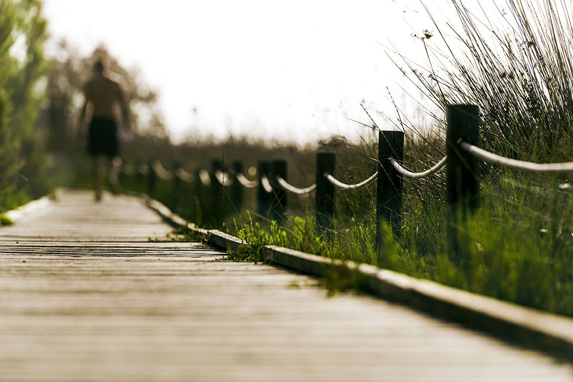 un hombre sin camisa camina por un sendero de madera