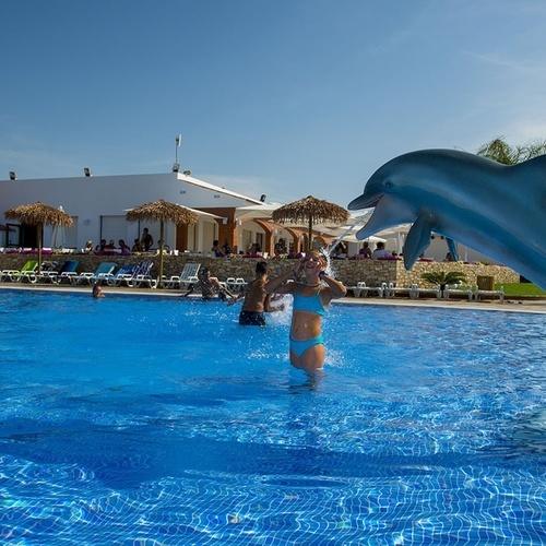 un delfín salta del agua en una piscina