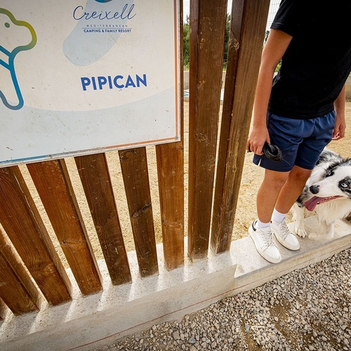 un niño y su perro están parados frente a un cartel que dice pipican