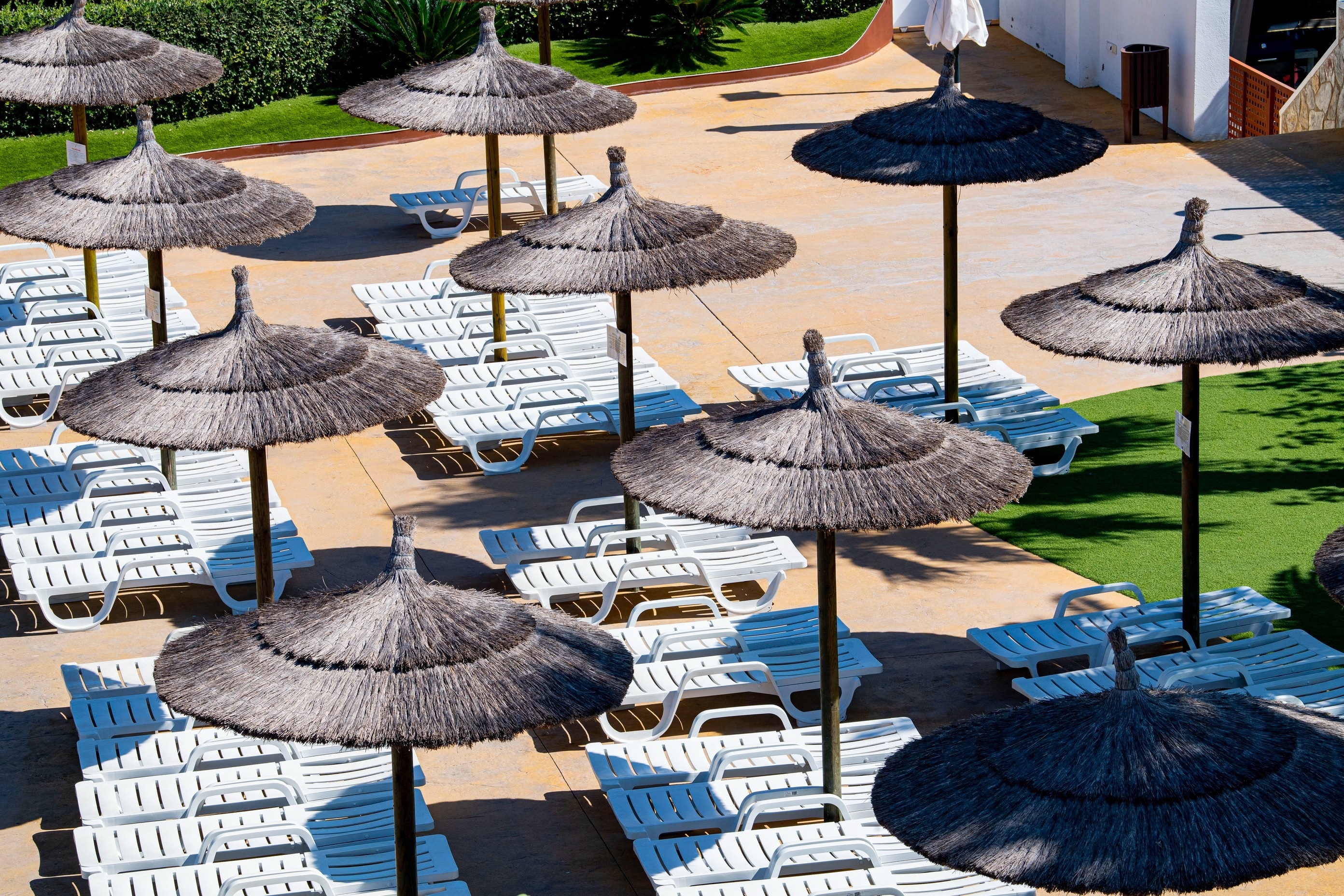 una piscina rodeada de palmeras y sillas de playa