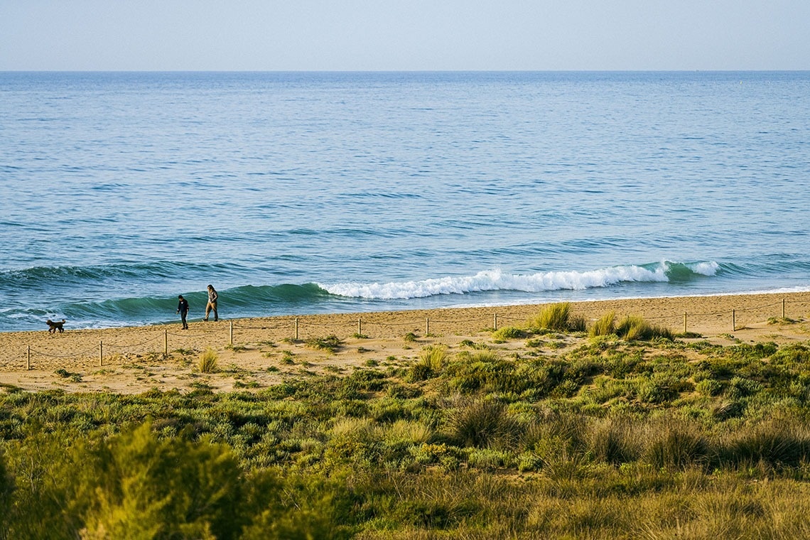 dos personas y un perro en la playa miran las olas