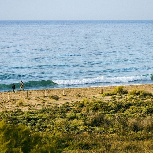 dos personas y un perro en la playa miran las olas