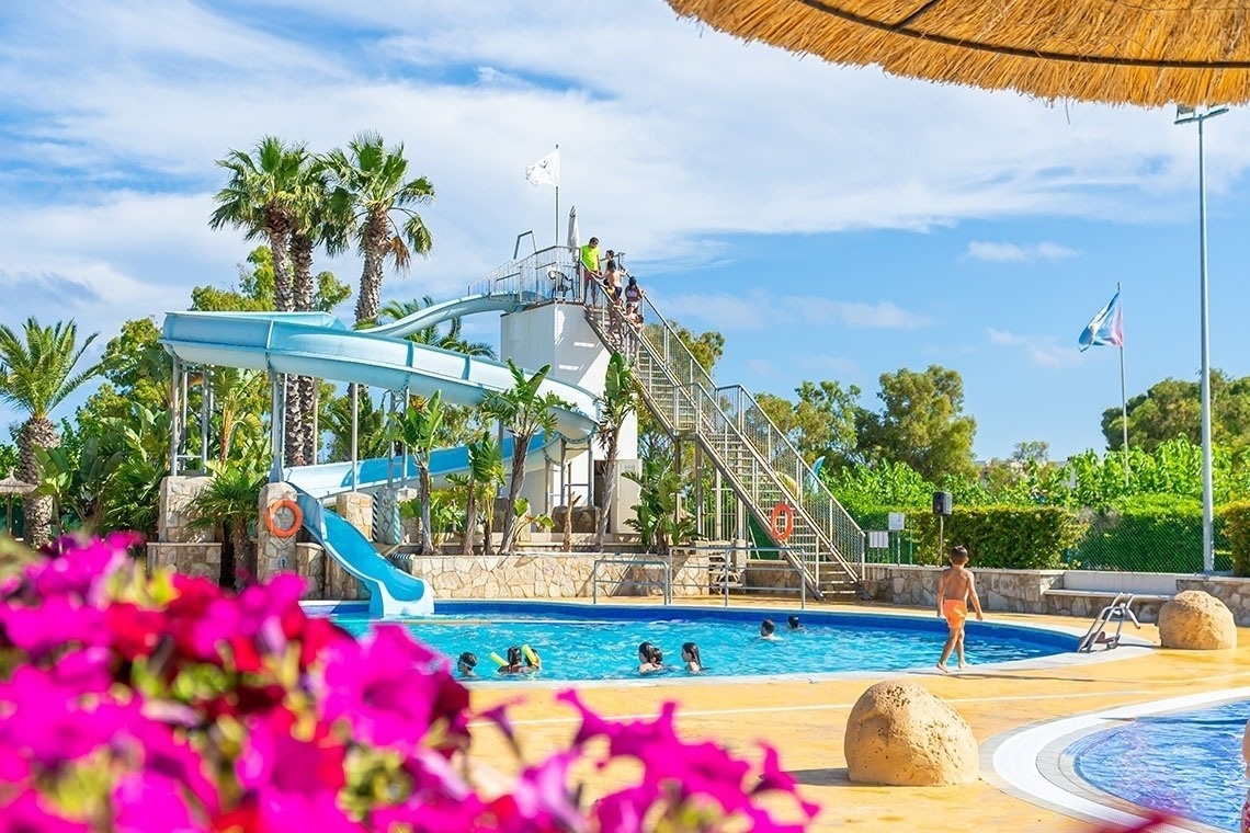 A vibrant water park scene shows people enjoying slides and swimming in various pools amidst palm trees under a bright blue sky, with pink flowers blurred in the foreground.