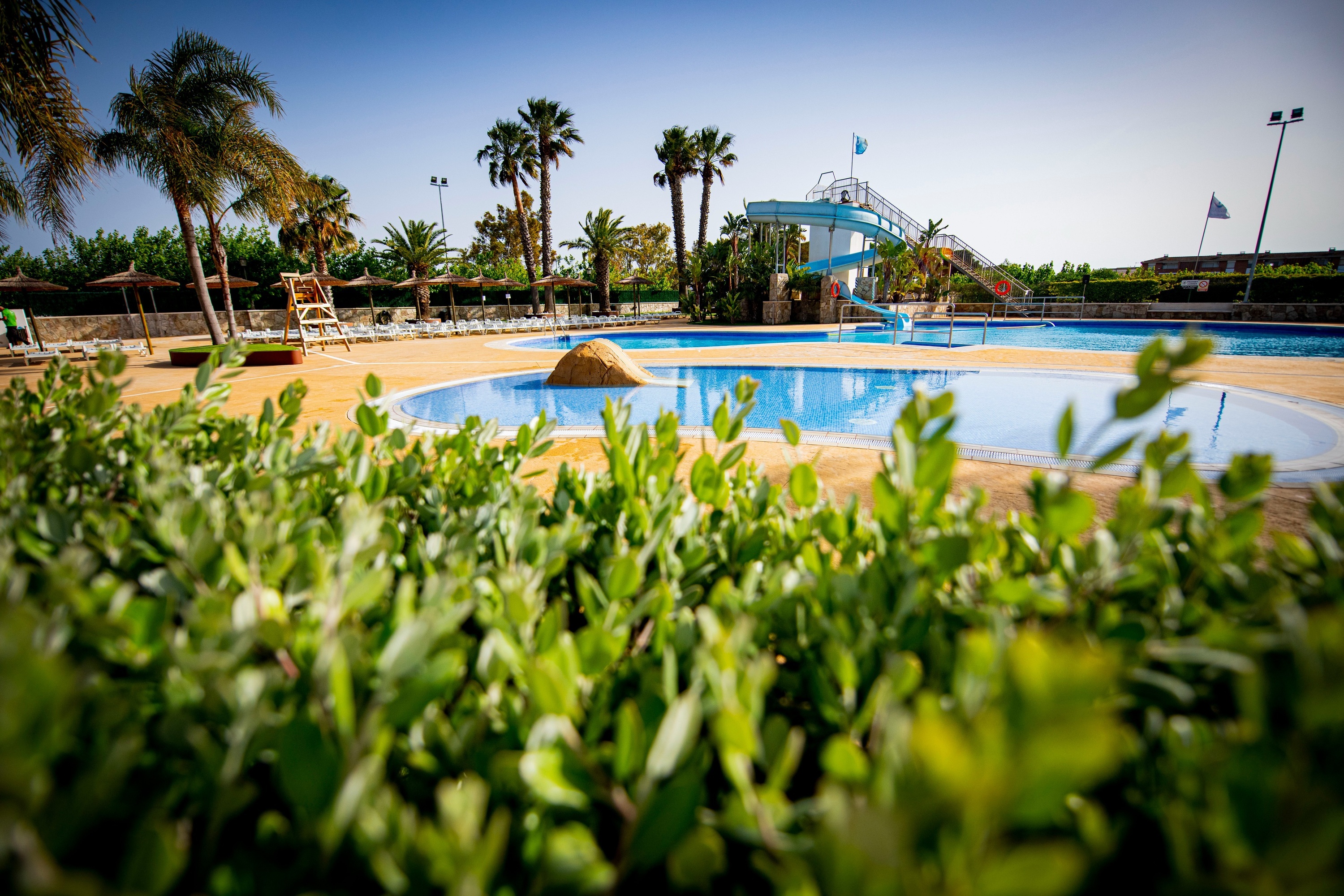 una piscina con un tobogán y palmeras en el fondo