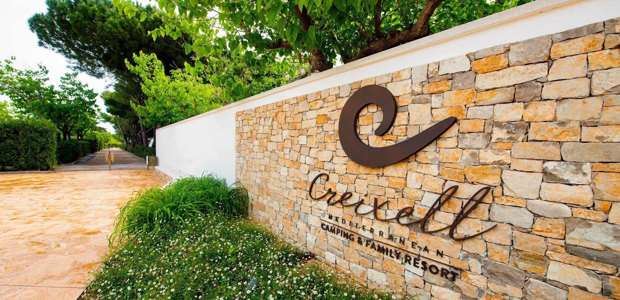 una playa con un árbol y un barco en el fondo