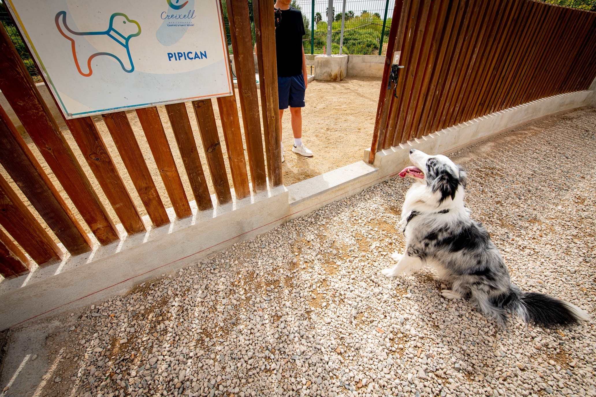 un niño y su perro están parados frente a un cartel que dice pipican