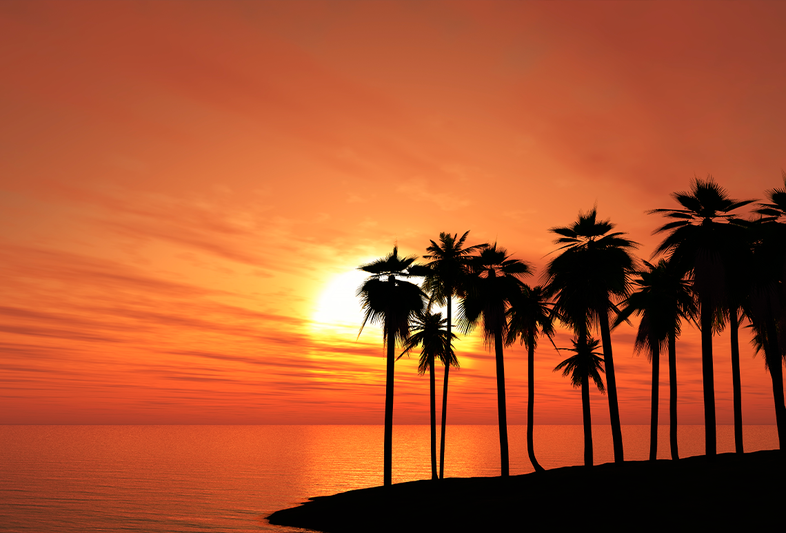 una puesta de sol en la playa con palmeras en primer plano