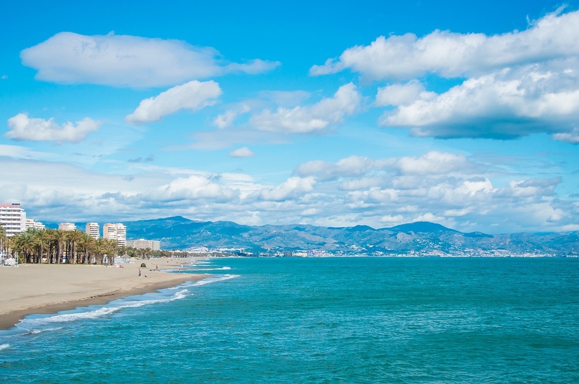 a beach with palm trees and mountains in the background