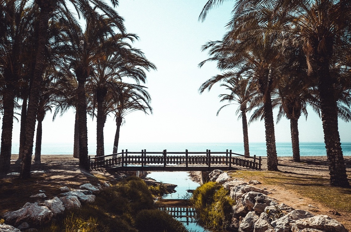 a bridge over a stream surrounded by palm trees leading to the ocean