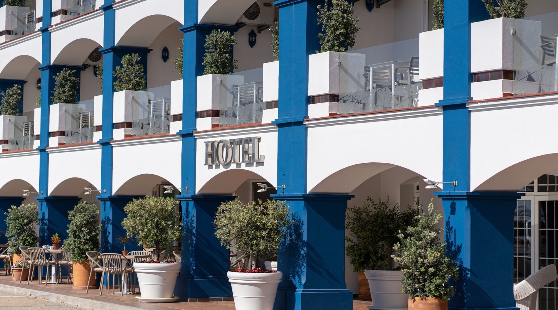 una playa con palmeras y el océano en el fondo