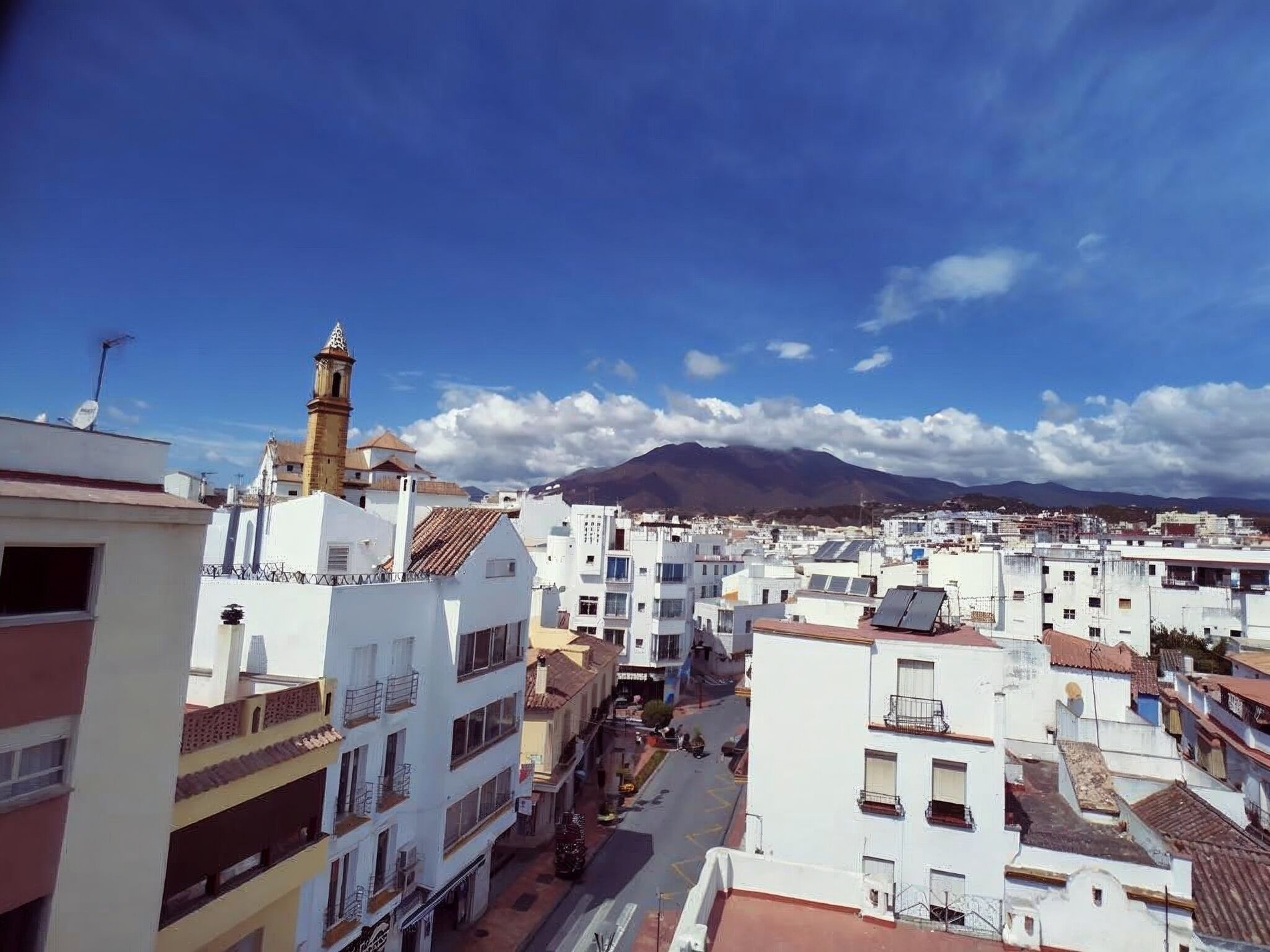 una playa con palmeras y el océano en el fondo