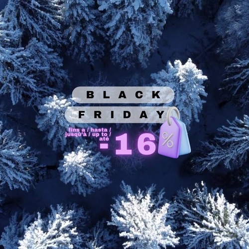 un logo pour le black friday avec un code promo bf2024