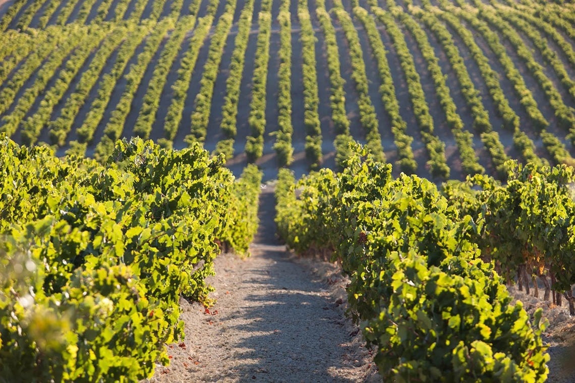 Hotel Casa Palacio Maria Luisa 5*GL