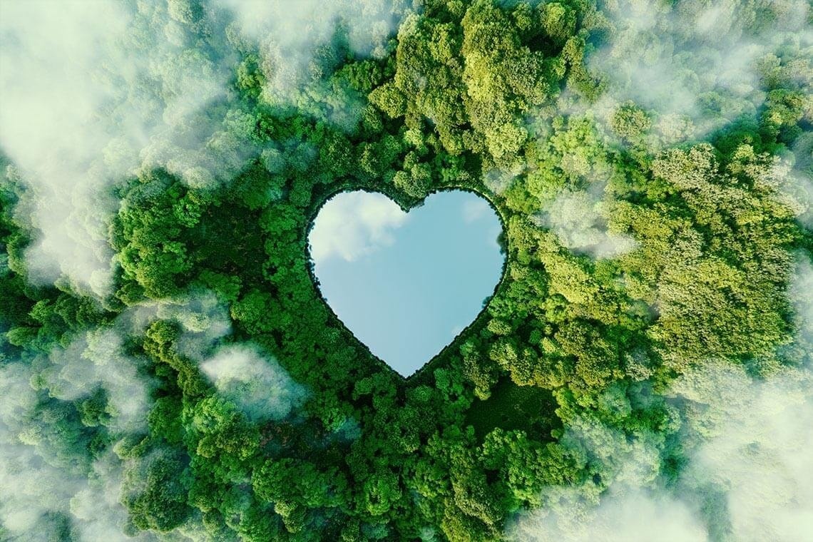 a heart shaped lake in the middle of a forest