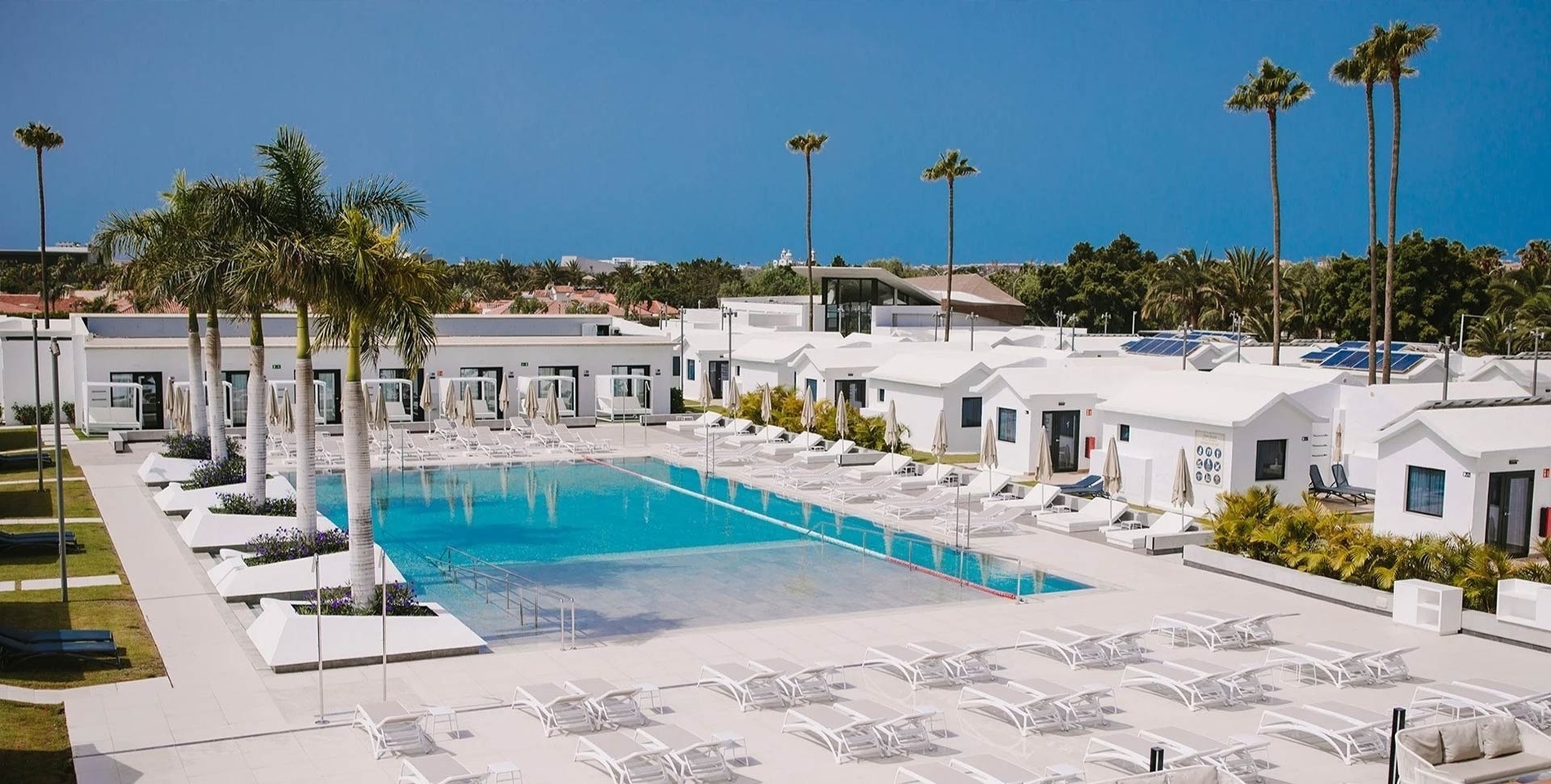 a large swimming pool surrounded by white chairs and palm trees