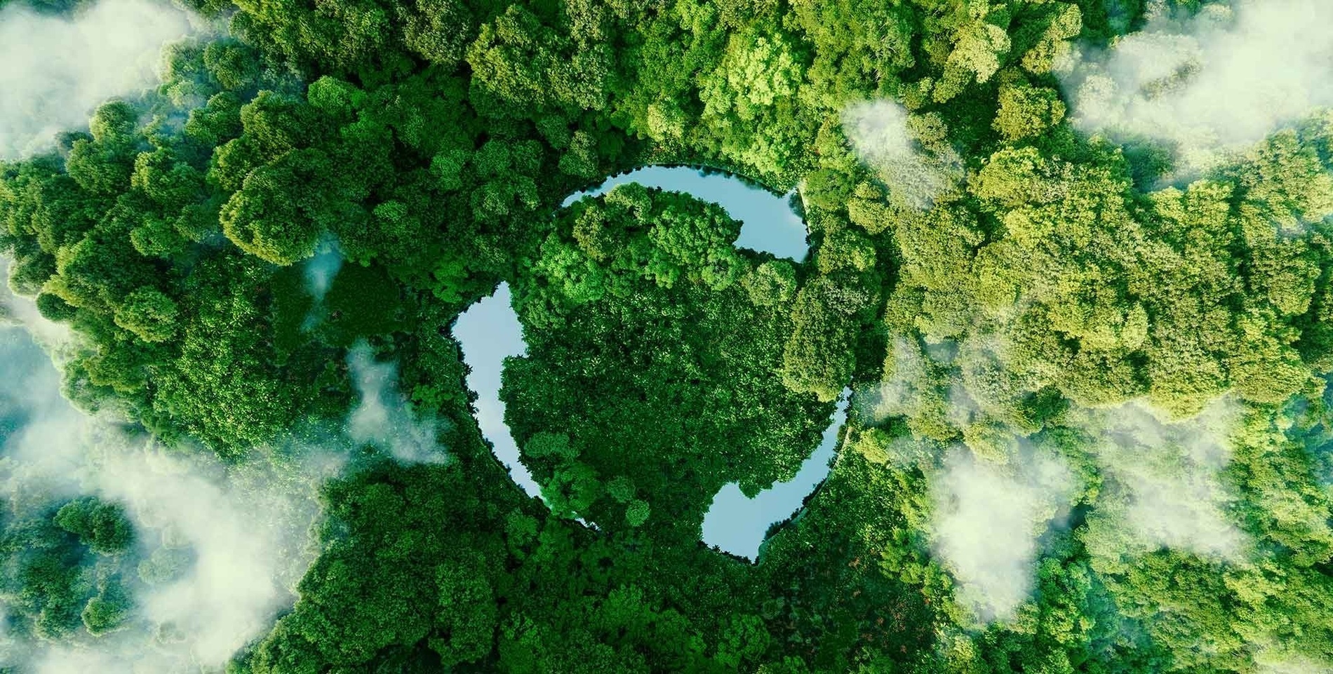 an aerial view of a forest with a lake in the middle