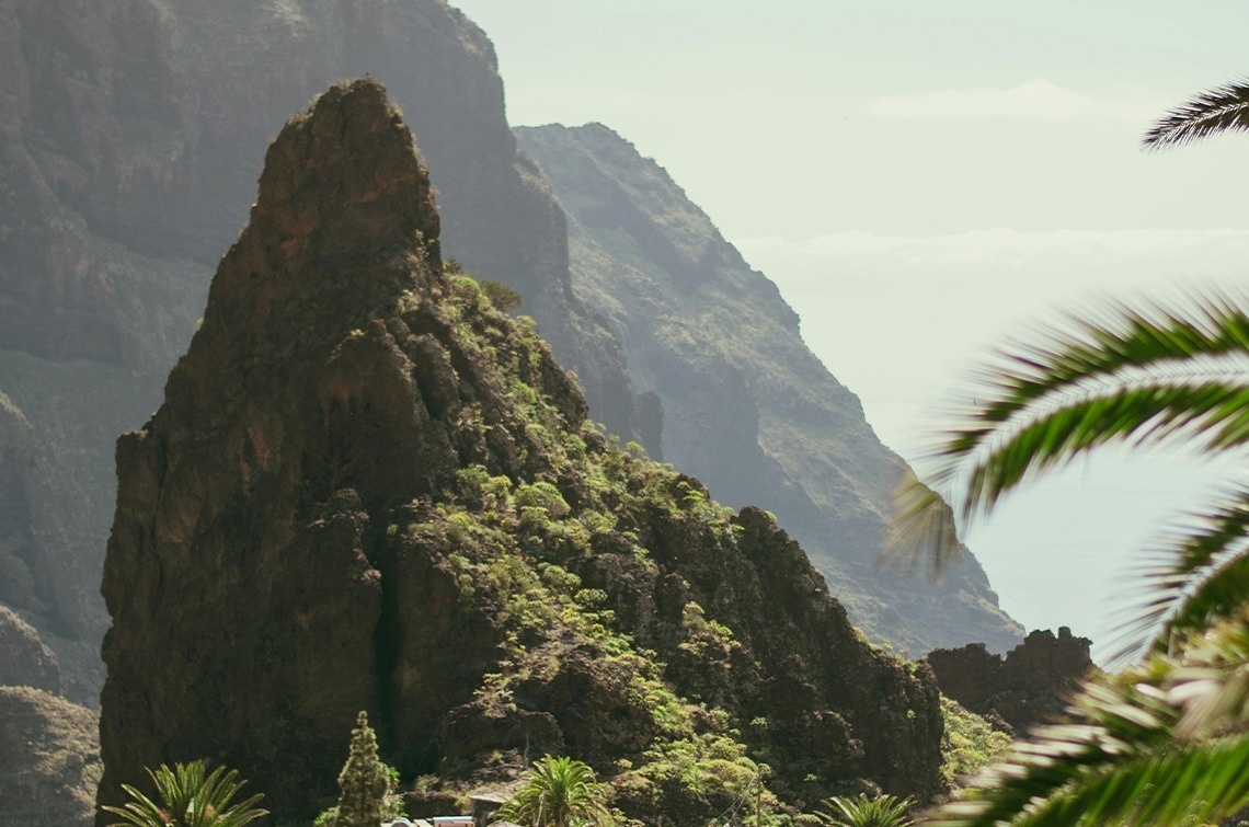 a mountain with a palm tree in the foreground