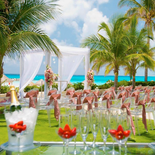 Beach wedding setup with clear chairs, champagne, strawberries, and palm trees. DEMO 3 venue.
