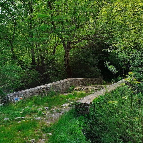 a stone bridge in the middle of a lush green forest