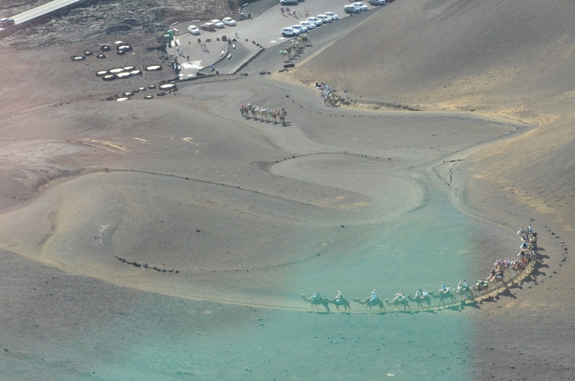 a group of people riding camels down a dirt road