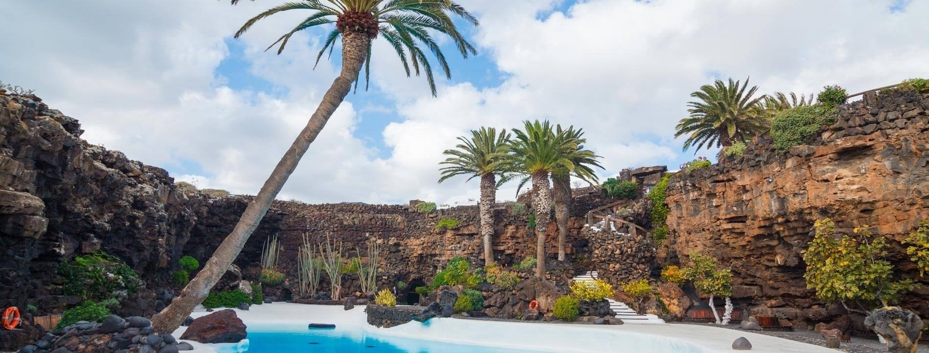 una piscina rodeada de palmeras y rocas