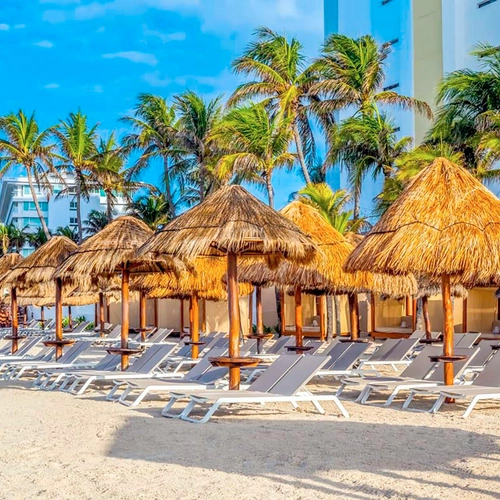 Beachfront lounge chairs and palapas at DEMO 3 resort with palm trees.