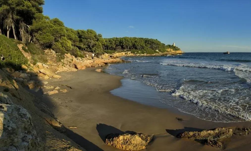 ESTIVAL Corporatiu: Platja amb pins, roques i mar blau