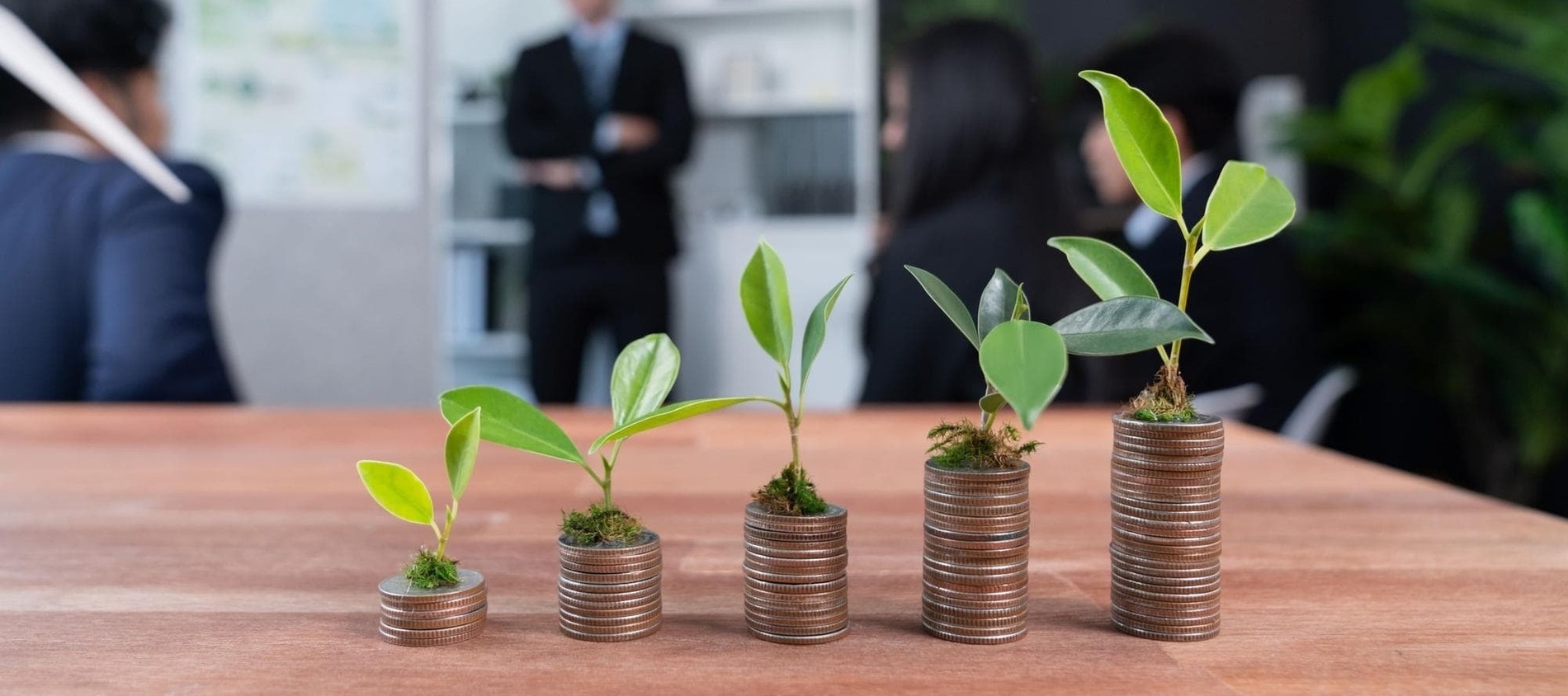 four stacks of coins with plants growing out of them