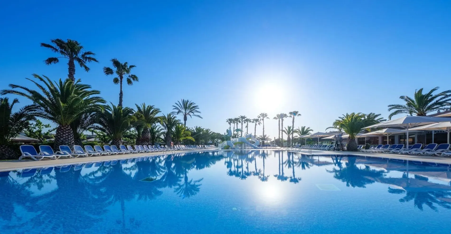 Descubre nuestra galería | Piscina y palmeras en Estival Vendrell Platja | Web Oficial