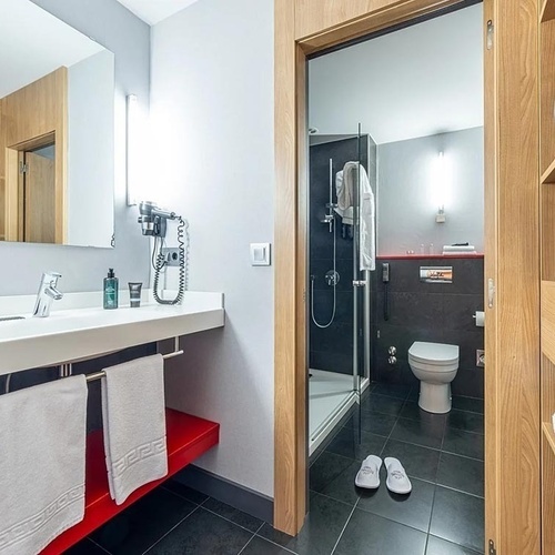 a bathroom with a toilet a sink and a mirror